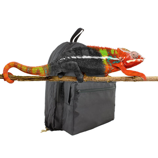 Incognito Hidden Lock Backpack 