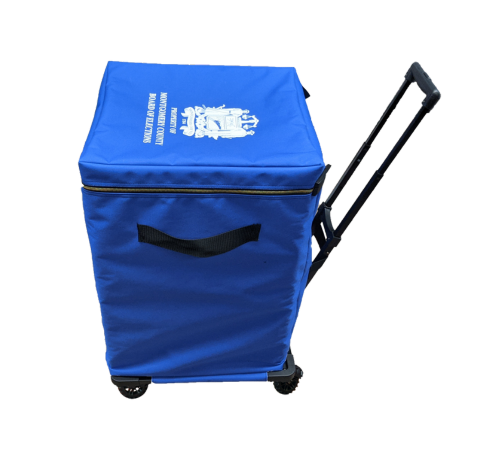 School and university